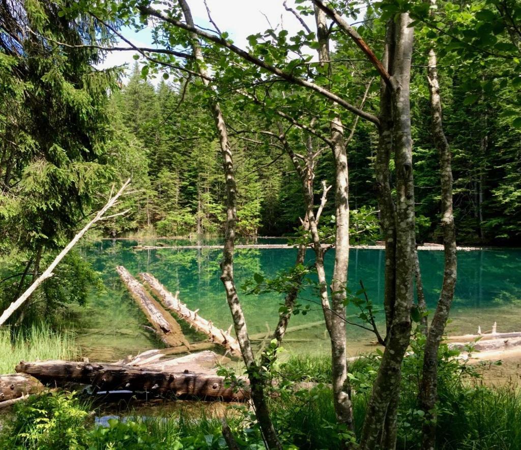 Waldnerhuette Villa Hermagor-Pressegger See Buitenkant foto