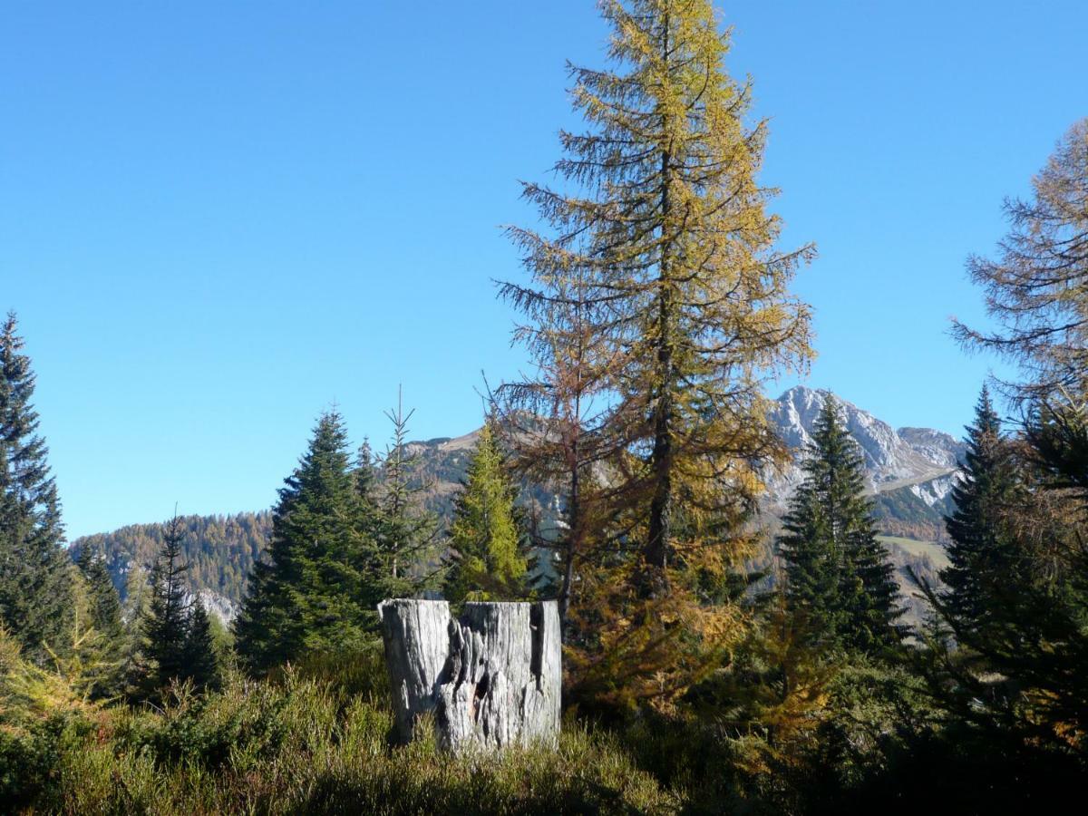 Waldnerhuette Villa Hermagor-Pressegger See Buitenkant foto